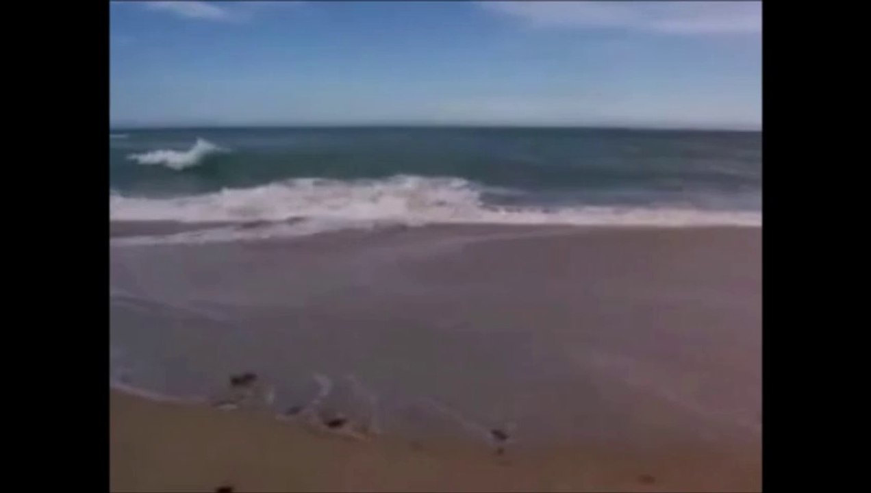 Everly Brothers sing Bob Dylan