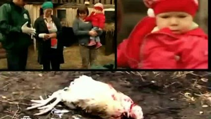 4 фильм. «Нижегородская область. Охота на чупакабру»» [ 05.02.2011 ]