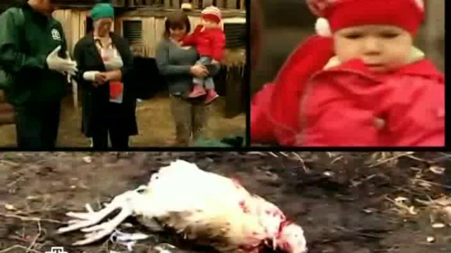 4 фильм. «Нижегородская область. Охота на чупакабру»» [ 05.02.2011 ]