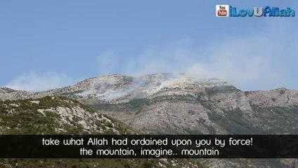 Where Do You Stand? by Sheikh Shady AlSuleiman