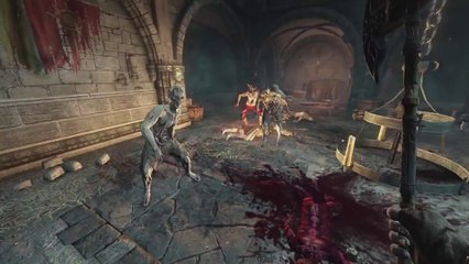 Hellraid Gameplay Trailer [E3 2014]