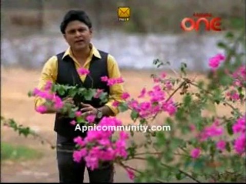 Kismat Connection 20th June 2014 pt2