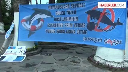 Bodrum Yunus Parkın Kapatılması İçin 40 Bin İmza 3