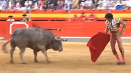 José Tomás toreará el domingo en León con una costilla fracturada