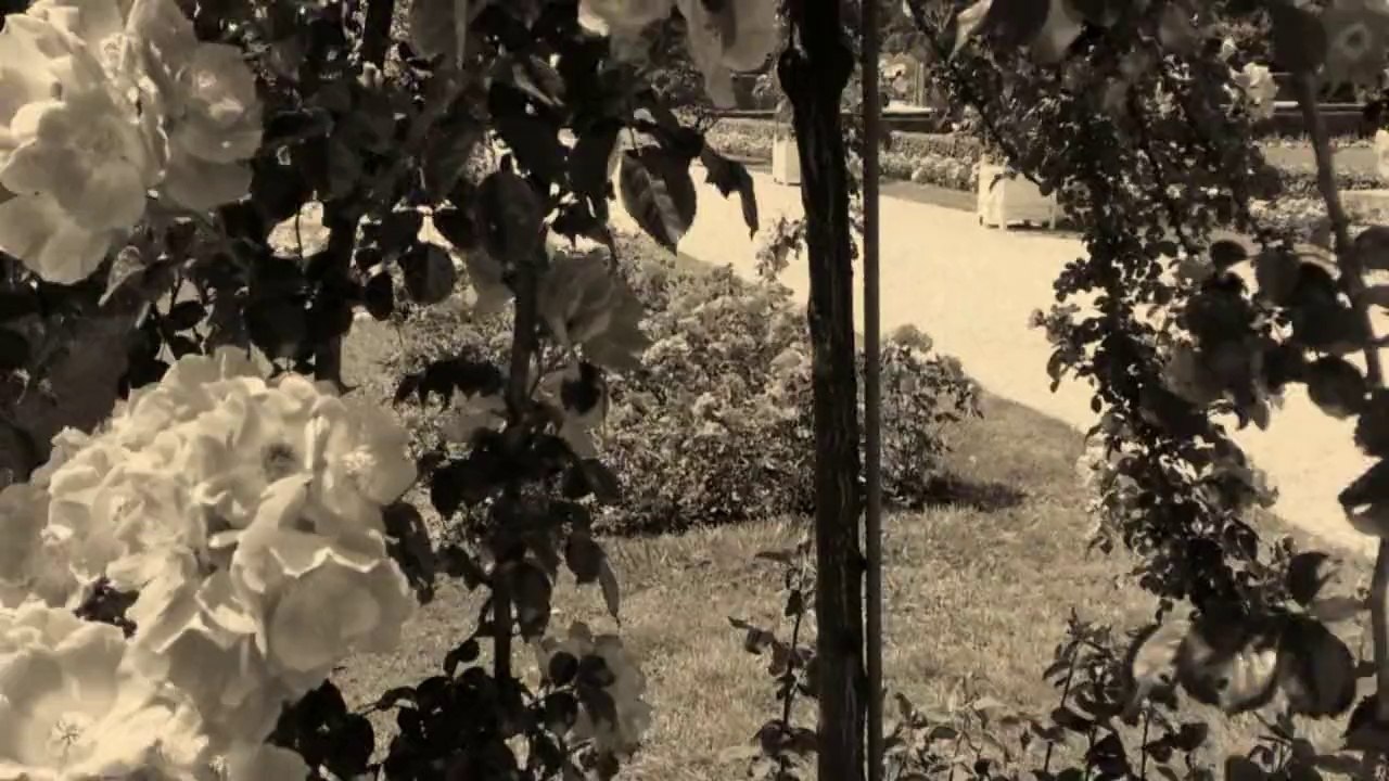 Julie kay & summerlove