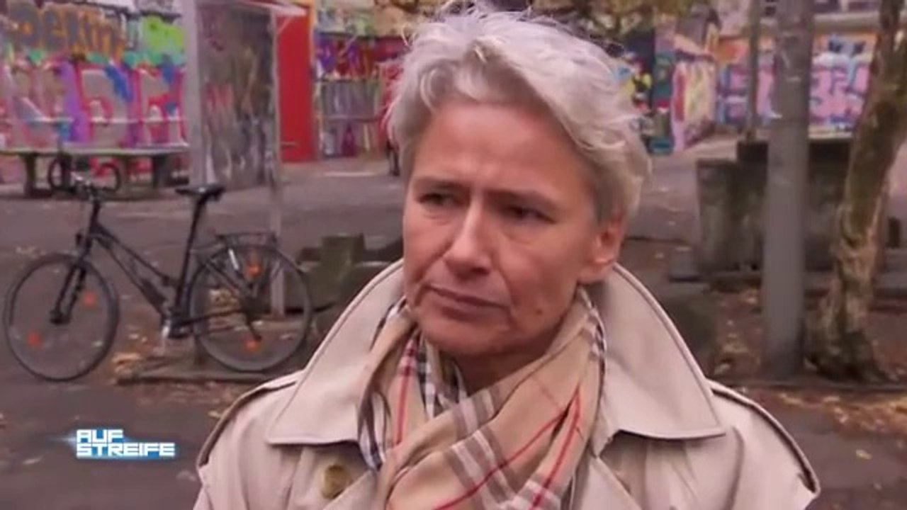 Auf Streife (Sat.1) - Jugendliche randalieren an Schulen