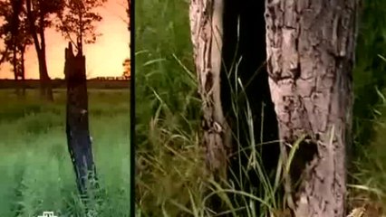 1 фильм. «Инопланетяне в Ростове-на-Дону» [ 15.01.2011 ]