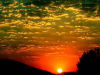 Muazzez Abacı - Rücu