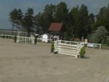 Hongre 9 ans Ogano Sitte - Touquet Csi* 130 du 1au6.