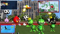 ANGRY BIRDS do SUPER BALL JUGGLING   ♫ 3D animated  FLAPPY BIRD follow up ☺ FunVideoTV - Style ;-))