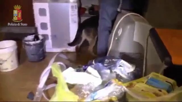 Varese - 'Scialla Semper', operazione antidroga della Polizia (20.06.14)