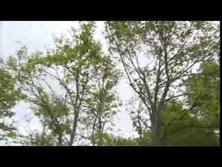 Intervista a Donato Verrilli - il mio progetto (20.06.14)