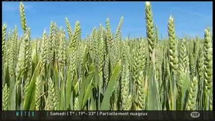 Agriculture : Le label Territoire Bio Engagé (Midi-Pyrénées)