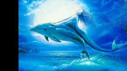 Filmatofilmato delfini