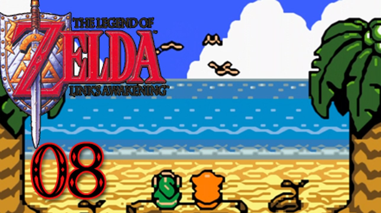 German Let's Play: The Legend of Zelda - Link's Awakening, Part 8, 'Paketbote nervt bei der Aufnahme'