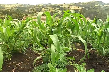 20 de junio de 2014 Mongui Boyacá parte 1