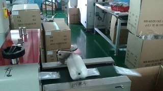 Packaging Machine, Automatic Packaging Machine Fomr Disposable Marks,Surgical Mask