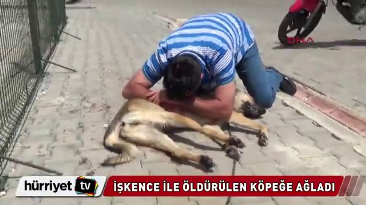 İşkence İle Öldürülen Köpeğe Ağlayan Güzel İnsan
