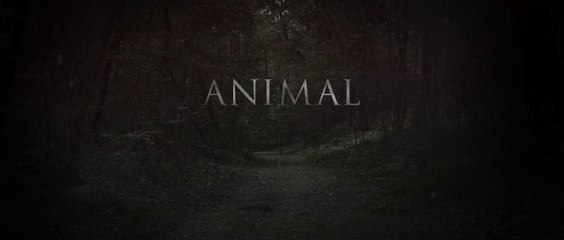 Animal [2014] - [Official Theatrical Trailer] [FULL HD] - (SULEMAN - RECORD)