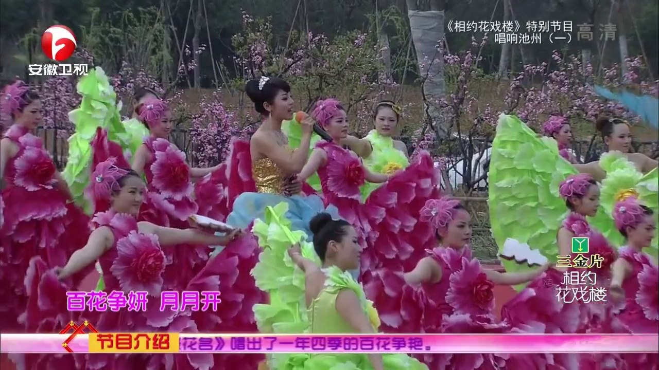 20140620 相约花戏楼  20140620