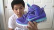 Cheap Lebron James Shoes Free Shipping,90 seconds or less lebron 9 hornets review on feet review