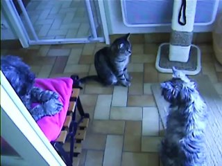 Babylone et Jaudy à 9h30 ce matin