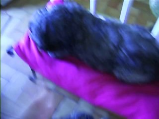 Jaudy poursuit Babylone