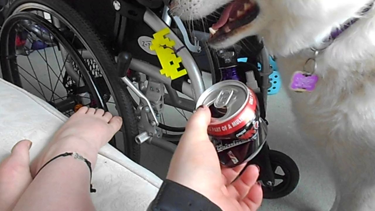 Freya blooper: Soda can in the toy basket