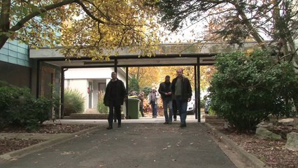 la Formation Plante bleue