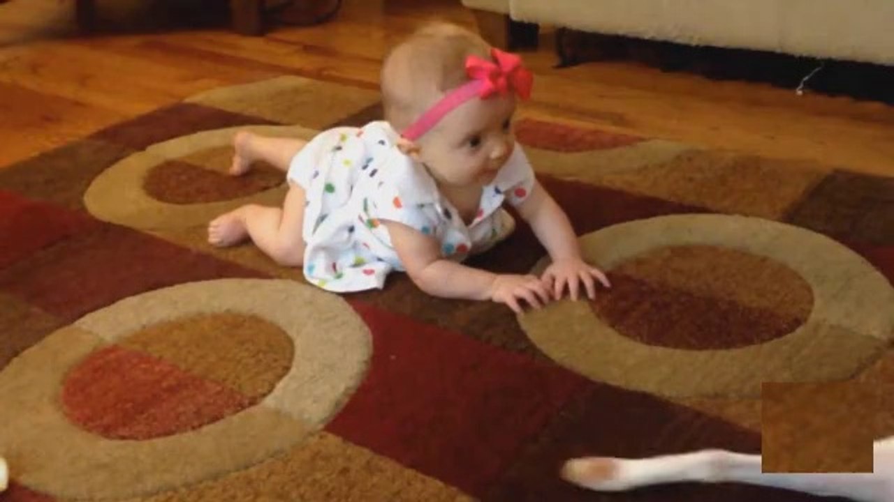 Un chien montre à un bébé comment ramper ! a voir