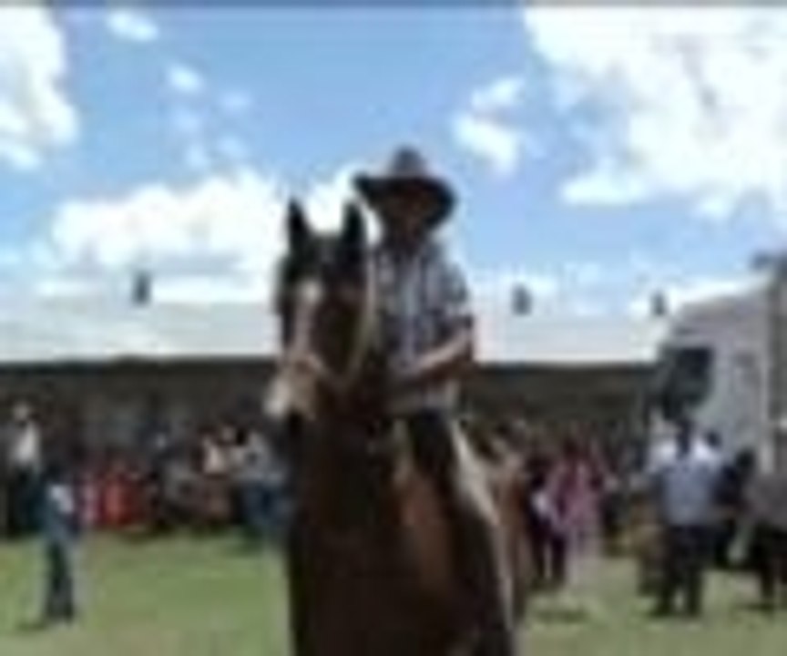 Davul zurna eşliğinde oynayan at ilgi çekti