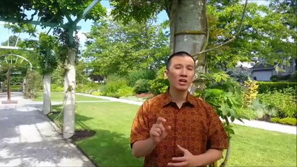 AL-QUR'AN ADALAH SOLUSI siraman rohani Islam