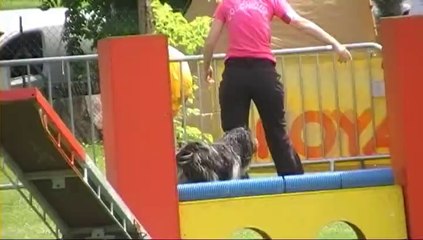 Colchique-St Doulchard-2nd degré 25 mai 2014