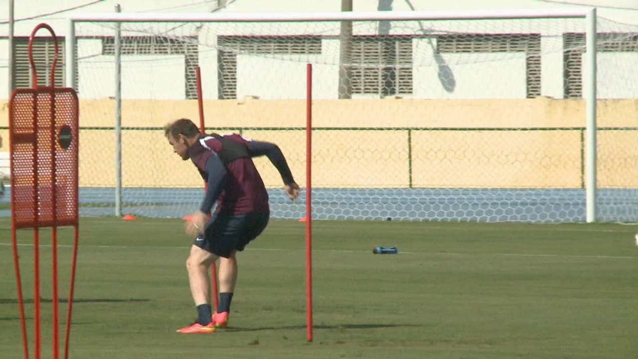 WM 2014: Dyke: 'Hodgson bleibt!'