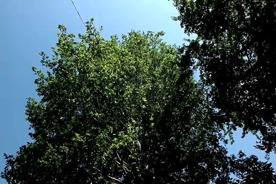 Kocatepe Köyü, Güneştepe ve Köprülü köyünden görüntüler.