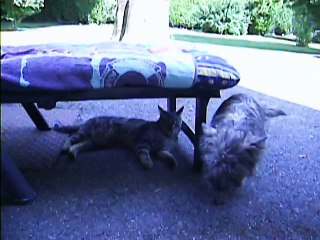 Jaudy et Babylone à 16h