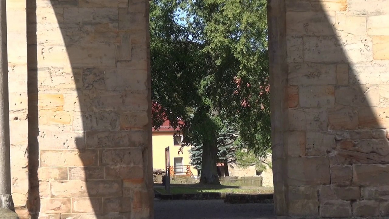 Klosterruine paulinzella (08.06.2014)