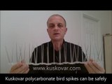 Bird Repellent | Bird spikes and pigeon control