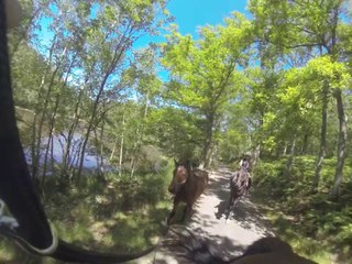 21.06.2014.d.balade.dextre908