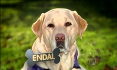 Globo Reporter Cães 7