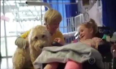 Globo Reporter Cães 10