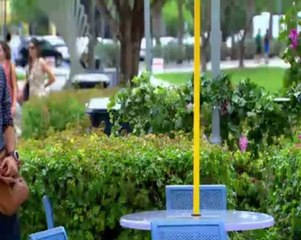 Marido En Alquiler Historia Antonio y Patricia parte 27