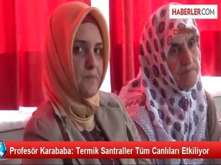 Profesör Karababa: Termik Santraller Tüm Canlıları Etkiliyor