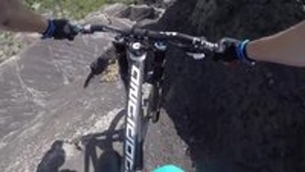 Mountain bike skills