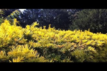 Garçons d'étage - Reste Calme