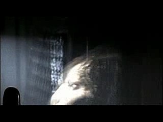 Bewitched - Season 2