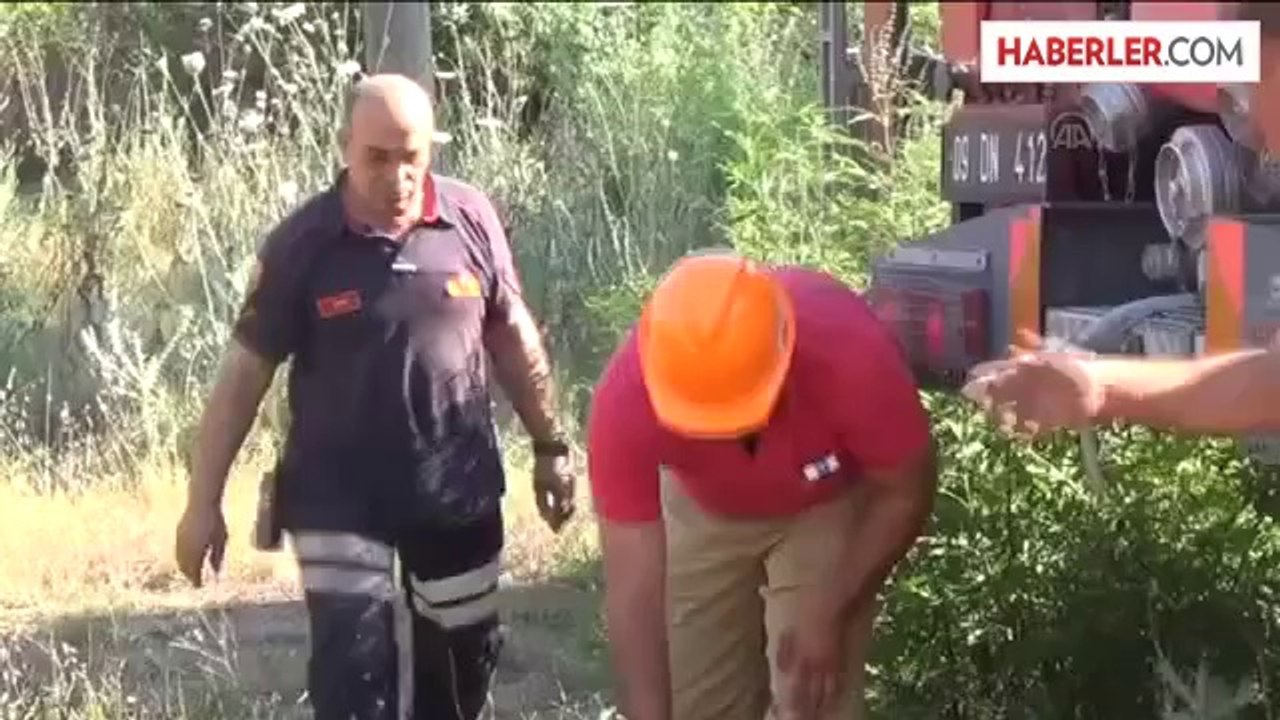 Makilik alanda yangın -