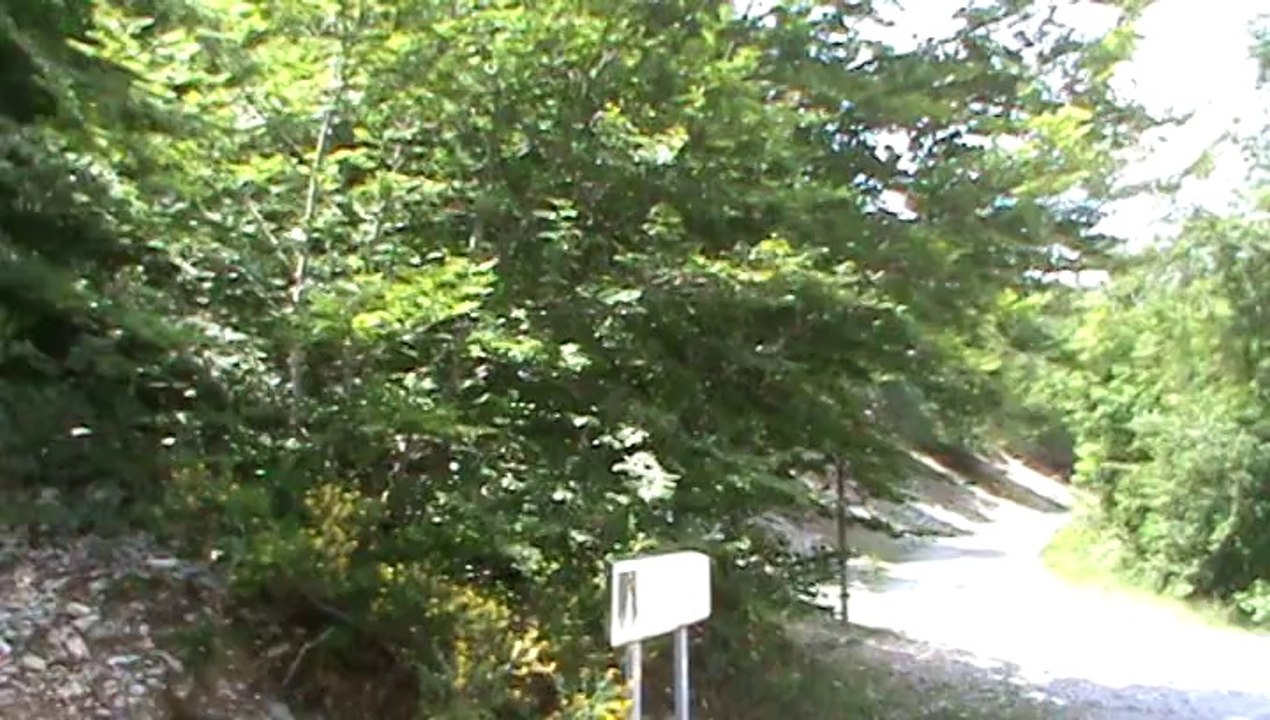 LE SENTIER DES PITCHOUN MONT VENTOUX