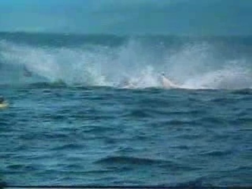 Kayak attack