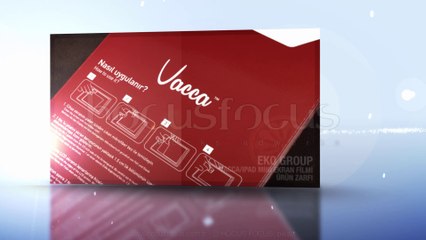 Eko Group:Vacca - iPAD Mini Ekran Filmi Ürün Zarfı